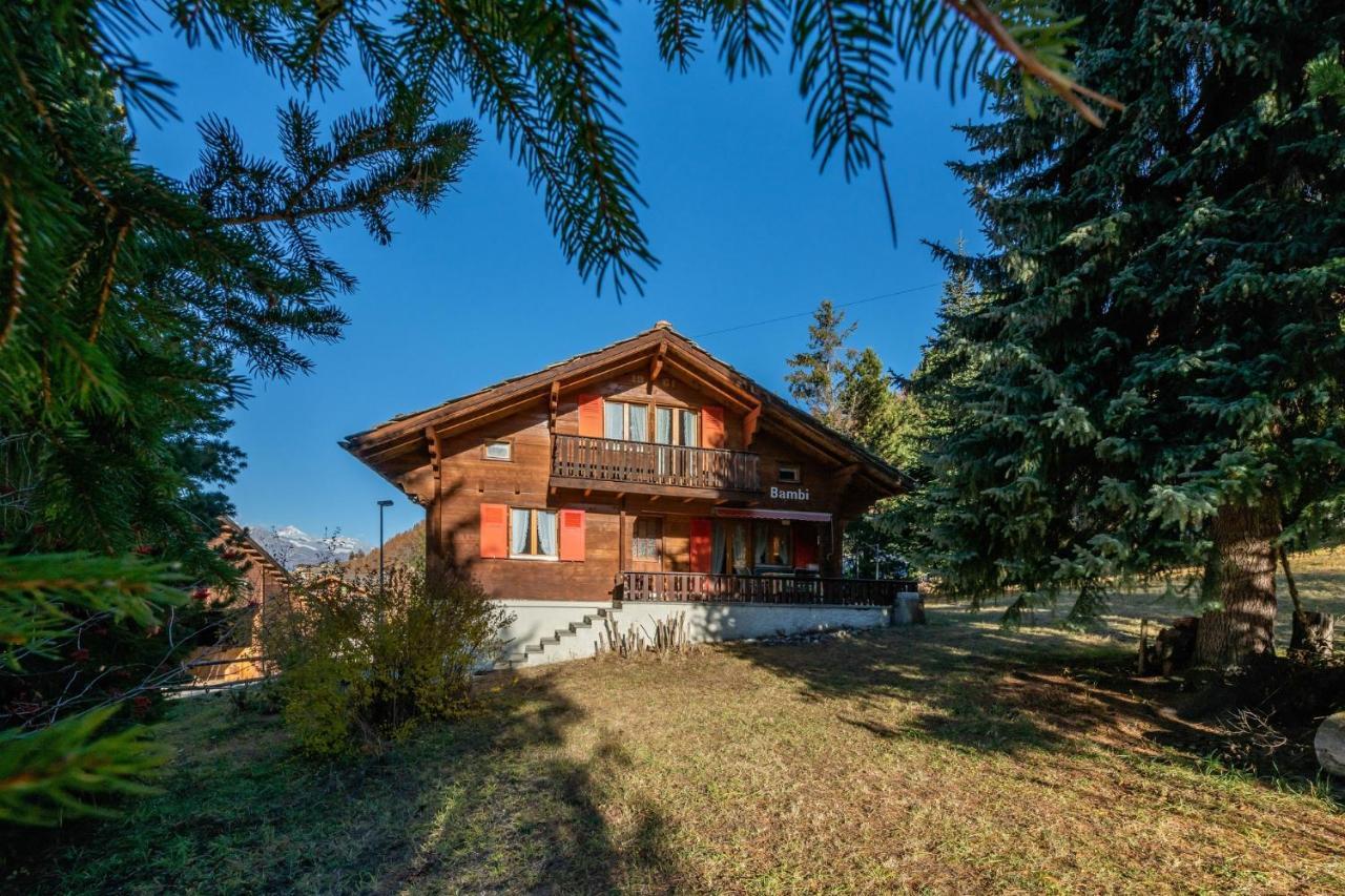 Chalet Bambi "Marchenhaft" Leilighet Grächen Eksteriør bilde